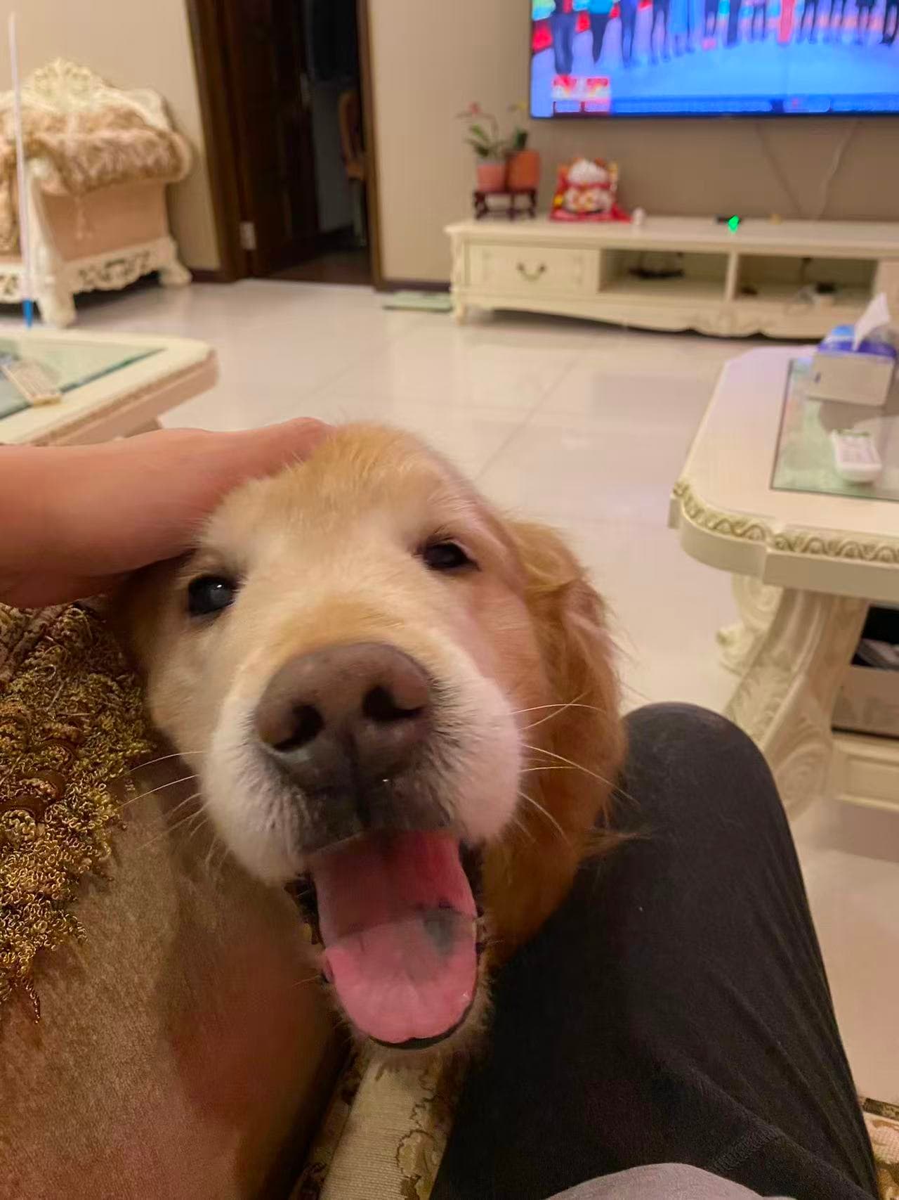 Er Leng - Happy Days